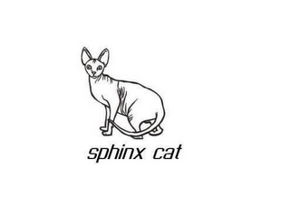 SPHINX CAT logo
