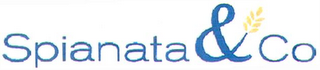 SPIANATA & CO logo