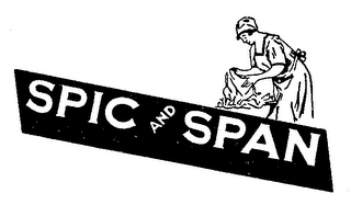 SPIC AND SPAN logo