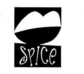SPICE logo