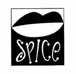 SPICE logo