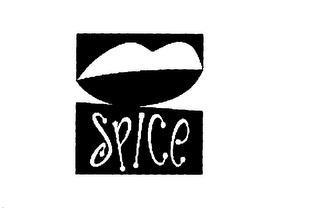 SPICE logo