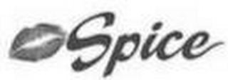SPICE logo