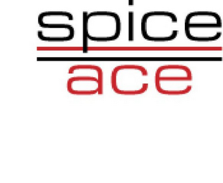 SPICE ACE logo