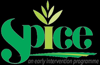 SPICE AN EARLY INTERVENTION PROGRAMME logo
