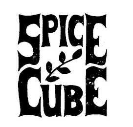 SPICE CUBE logo