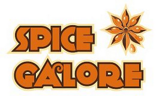 SPICE GALORE logo