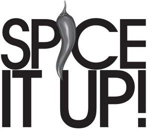 SPICE IT UP! logo