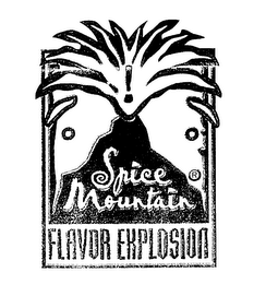 SPICE MOUNTAIN FLAVOR EXPLOSION logo