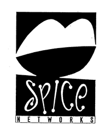 SPICE NETWORKS logo
