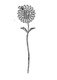 SPICE OF LIFE logo