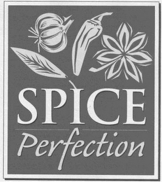 SPICE PERFECTION logo