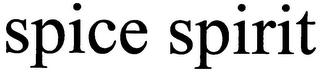 SPICE SPIRIT logo