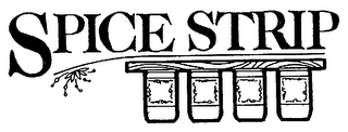 SPICE STRID logo