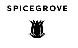 SPICEGROVE logo