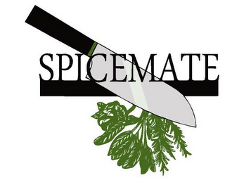 SPICEMATE logo