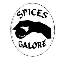 SPICES GALORE logo
