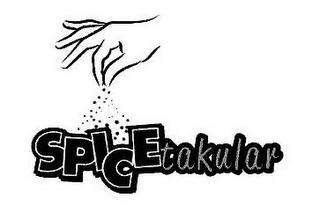 SPICETAKULAR logo