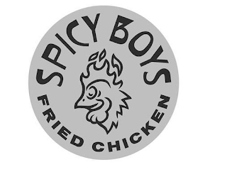 SPICY BOYS FRIED CHICKEN logo