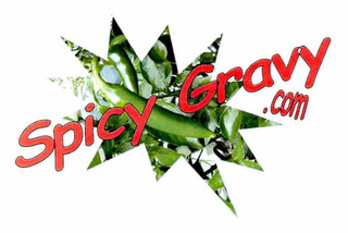 SPICY GRAVY.COM logo