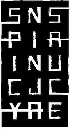 SPICY NINJA SAUCE logo