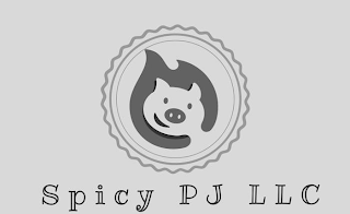 SPICY PJ LLC logo