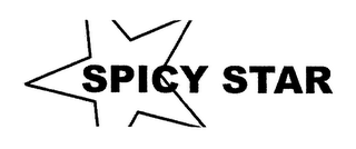SPICY STAR logo