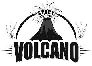 SPICY VOLCANO logo