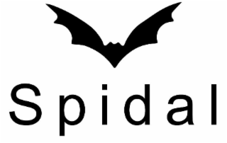 SPIDAL