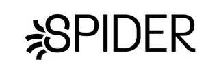 SPIDER logo