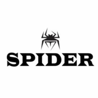 SPIDER logo
