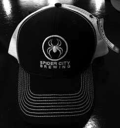 SPIDER CITY logo