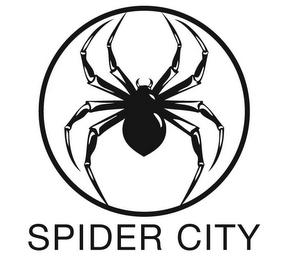 SPIDER CITY logo