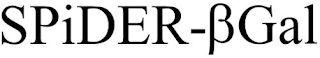 SPIDER-GAL logo