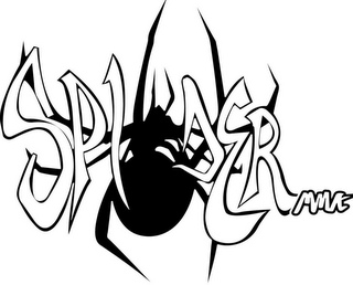 SPIDER MMA logo