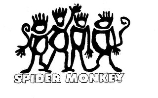 SPIDER MONKEY logo