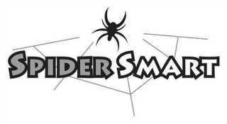 SPIDER SMART logo
