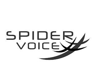 SPIDER VOICE logo
