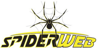 SPIDER WEB logo