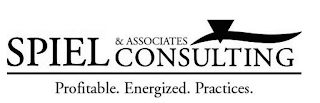 SPIEL & ASSOCIATES CONSULTING PROFITABLE. ENERGIZED. PRACTICES. logo