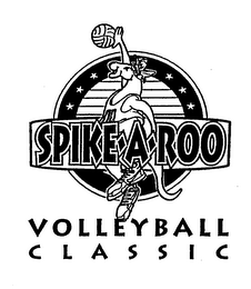 SPIKE-A-ROO VOLLEYBALL CLASSIC
