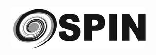 SPIN logo