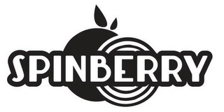 SPINBERRY logo