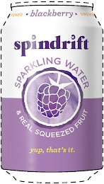 SPINDRIFT, * BLACKBERRY *, UNSWEETENED, SPARKLING WATER, & REAL SQUEEZED FRUIT, YUP, THAT'S IT. logo