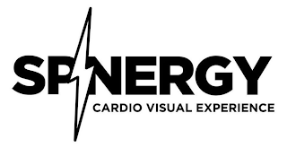 SPINERGY CARDIO VISUAL EXPERIENCE logo
