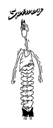 SPINEY logo