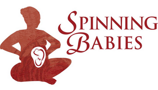 SPINNING BABIES logo