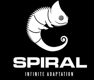 SPIRAL INFINITE ADAPTATION logo