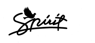 SPIRIT logo