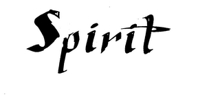 SPIRIT logo